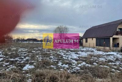 Teren Buda- Ilfov. - 1