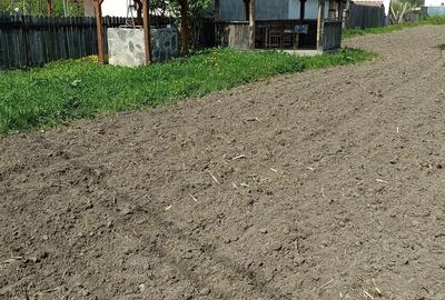 Teren de 900 mp, în Mănăstirea Cașin - 6