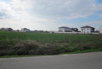 Teren Construcții intravilan de 2314 mp, în Domnești - 16