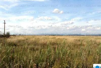 Teren de 5000 mp, în Exterior Sud - 10