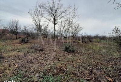 Teren de 772 mp, în Central