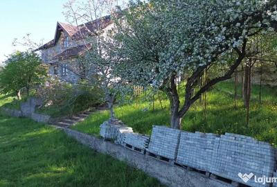 Teren de 4863 mp, în Adâncata - 10