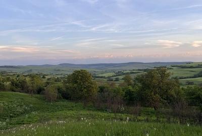 Teren de 11000 mp, în Retiș - 6
