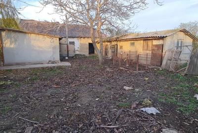 Casă cu 3 camere cu Teren 3200 Mp în Ceamurlia de Jos - 2