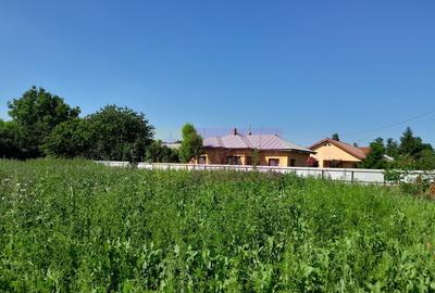 Movilita (IL)-teren de inchiriat aprox. 2 ha stradal, lan... - 9