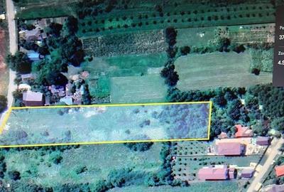 Teren de 4430 mp, în Snagov - 1