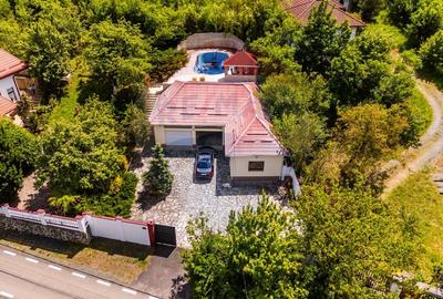 Vila cu 6 camere de vanzare - 29