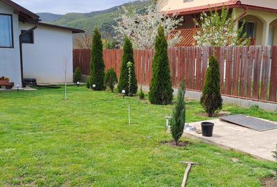 Casă cu 3 camere în Mihai Viteazu - 6