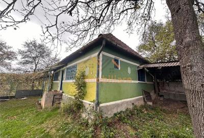 Teren de 9341 mp, în Bălnaca - 1