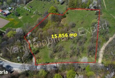 Teren de 15856 mp, în Valea Iașului - 7
