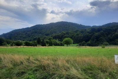 Teren de 1500 mp, în Glăjărie - 2