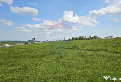 Teren de 7000 mp, în Ilișești - 14