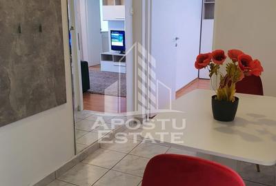 Apartament cu 3 camere semidecomandat în Dacia - 15