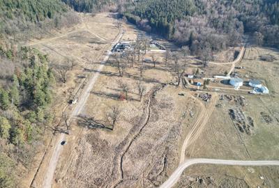 Teren intravilan - 9