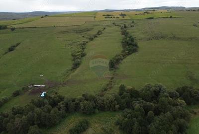 Teren de 65 mp, în Sud - 2