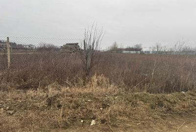 Spațiu comercial, în Mărăcineni - 3