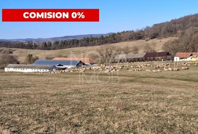 Proprietate specială, de 5,000 mp, în Agnita - 1