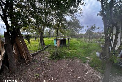 Casă cu 2 camere cu Teren 1530 Mp în Câmpineanca - 2