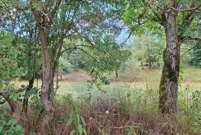 Teren de vanzare 990mp in Barzava, jude?ul Arad - 3