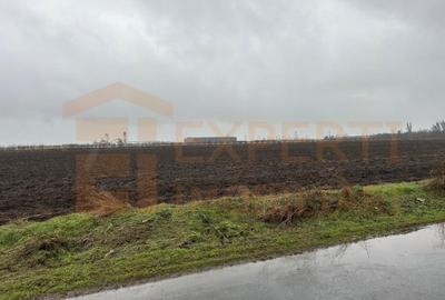 Teren Construcții extravilan de 5000 mp, în Lumina - 5