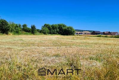 Teren de 4000 mp intravilan in Cristian - 2