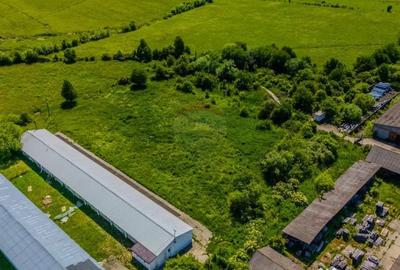 Teren de 9335 mp, în Teliu - 4