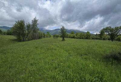 Teren intravilan - 2 minute de centru Prundu Bargaului - 26 parcele - 4
