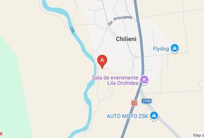 Teren extravilan de 16500 mp, în Chilieni - 2