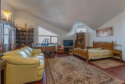 FILM! Castelariu: spectacol panoramic, locatie prestigioasa, exclusivist confort - 13