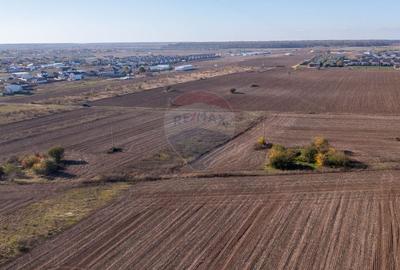 Teren Construcții intravilan de 7400 mp, în Săbăreni - 11