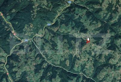 Teren 9648 mp, priveliste superba, Poiana Marului! - 3