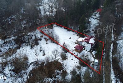 Casă cu 4 camere cu Teren 1435 Mp în Bradu - 5