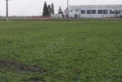 Spațiu comercial, în Cărpiniș - 32