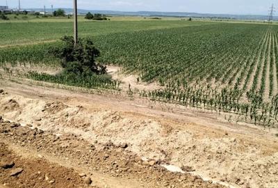 Teren Oarja de 8 400 mp, langa Pasarela A1, 5,5 euro/mp la Pretul 46 200 Euro. - 7