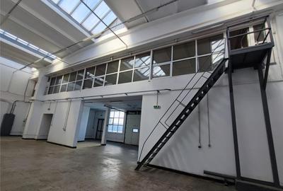 Hala industriala - 384mp - zona industriala Sud - str. Repub - 19