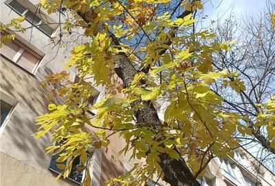 Apartament frumos intr-un bloc reabilitat, cu 3 camere si balcon in Dr. Taberei, - 1