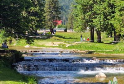 Teren de 6000 mp, în Dobrești - 9