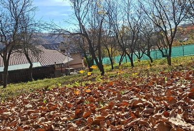 Casă individuală cu 6 camere cu Canalizare în Autogară - 6