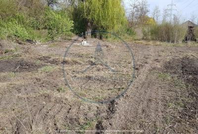 Spațiu comercial, în Șieu - 3