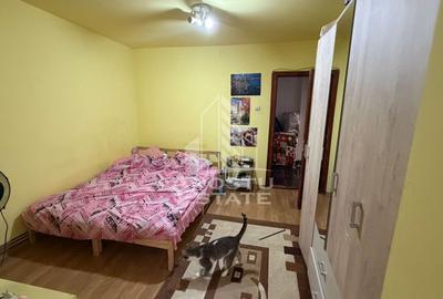 Apartament cu 2 camere decomandat, mobilat în Șagului - 3