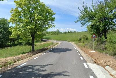 Teren în Podeni - 6