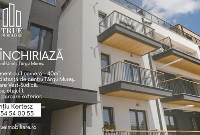 Apartament cu 1 cameră de închiriat, 40m?, cartierul Unirii!