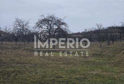 Teren Construcții intravilan de 8800 mp, în Borhanci - 1