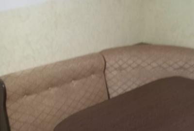 Apartament cu 2 camere în Govândari - 9
