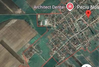 Teren de 50000 mp, în Peciu Nou - 2