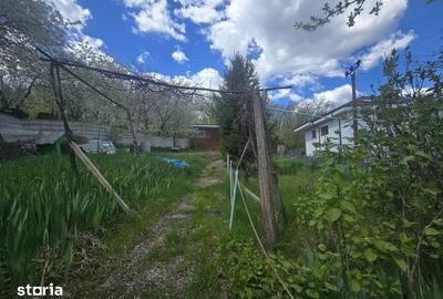 Teren de 500 mp, în Copou - 5