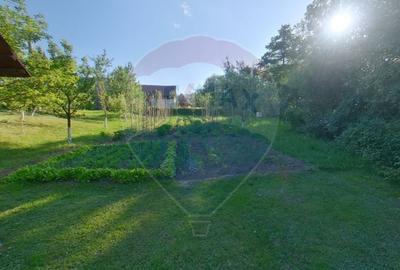 Hotel/Pensiune, de 384 mp, în Breb - 14