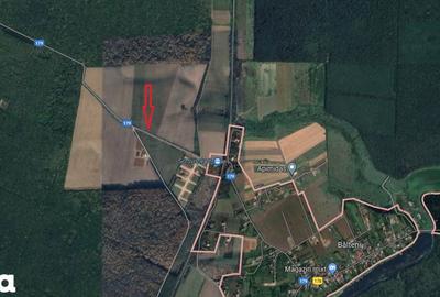 Teren de 35000 mp, în Periș - 4