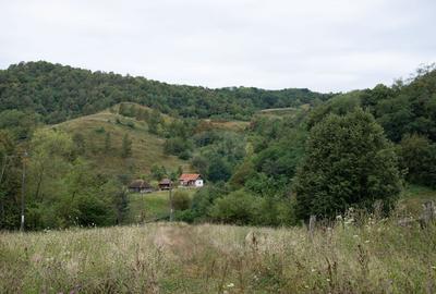 Teren intravilan de vis in Mun?ii Apuseni, curent + izv... - 4