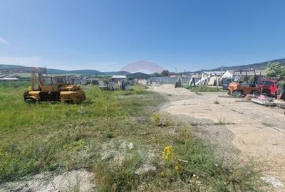 Spațiu industrial, de 290 mp, în Almaș - 14